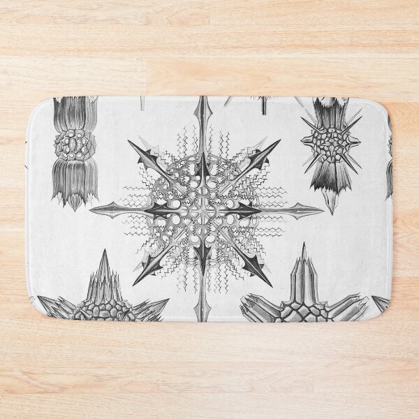 Item preview, Ernst Haeckel Coral Skeleton Forms of Nature Acanthophracta designed and sold by cutesy.