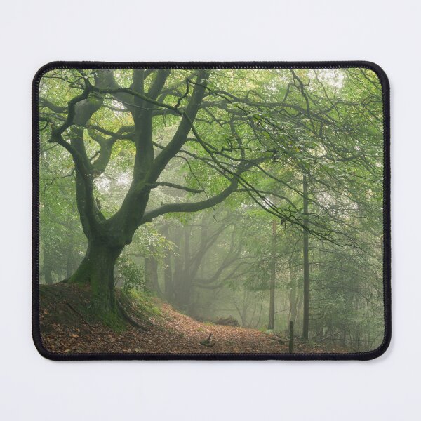 Item preview, Misty Beech Forest designed and sold by Craig Joiner.