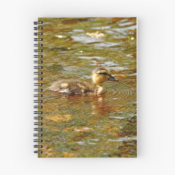 Item preview, Morning Light Duckling designed and sold by Debbie Oppermann.