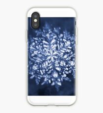 That snowflake iPhone Case