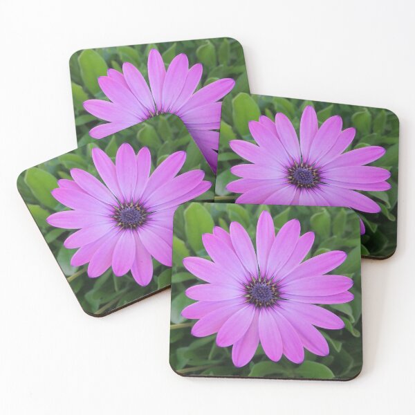 Item preview, African Daisy Photograph from Spain designed and sold by DeliveryGeorge.