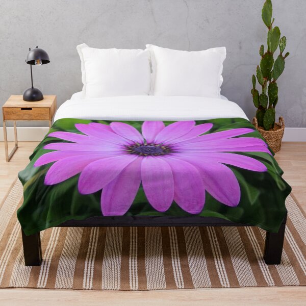 Item preview, African Daisy Photograph from Spain designed and sold by DeliveryGeorge.