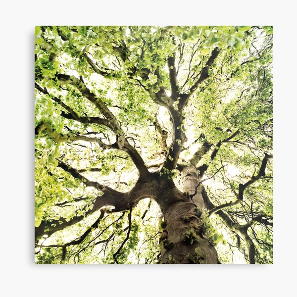 Item preview, Under Your Skin // Summer Breeze In A Wilderness Fairytale Forest With A Tree Covered In Magic Sunlight Series designed and sold by Tordis Kayma.