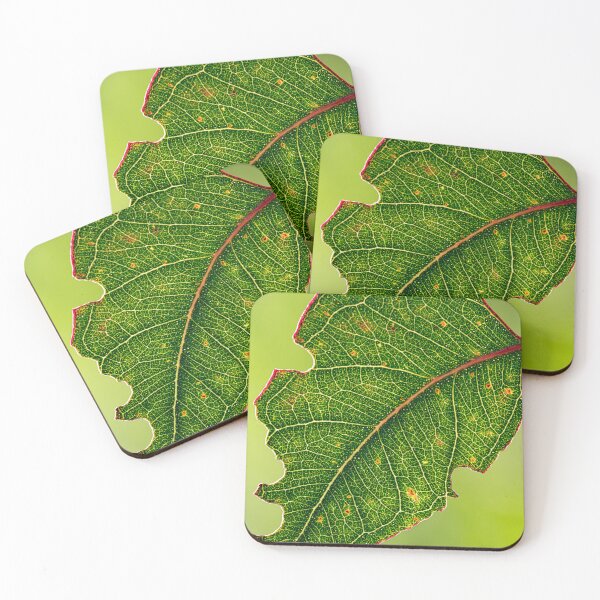 Item preview, Bright green leaf soaking in a ray of light designed and sold by Christopher Stephenson.