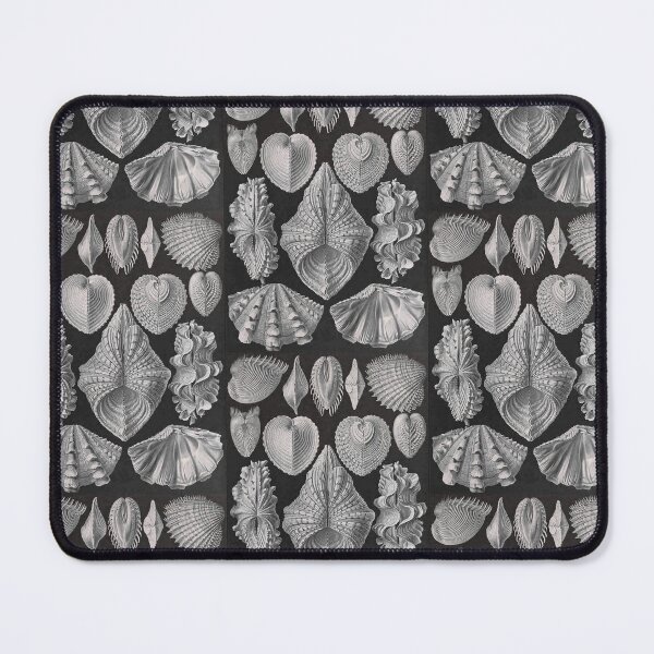 Item preview, Ernst Haeckel Forms of Nature Seashells Acephala designed and sold by cutesy.