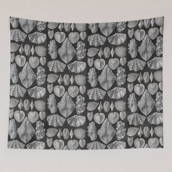 Item preview, Ernst Haeckel Forms of Nature Seashells Acephala designed and sold by cutesy.