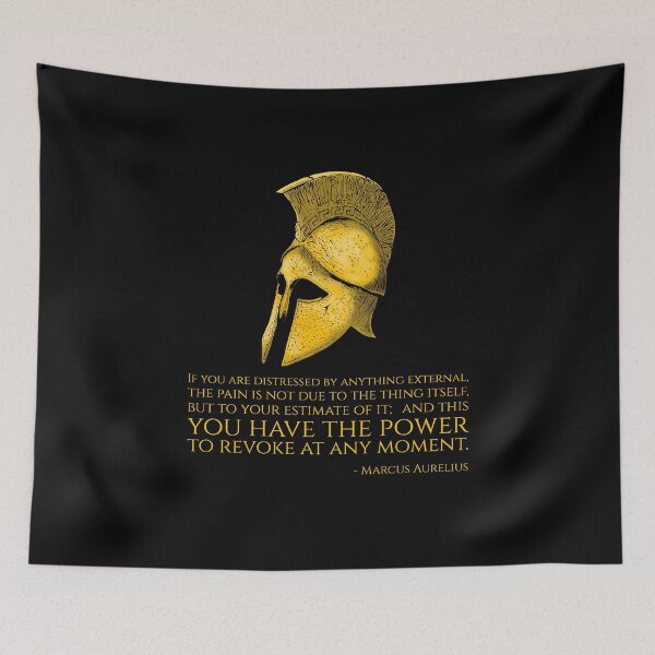 Item preview, If you are distressed by anything external, the pain is not due to the thing itself, but to your estimate of it; and this you have the power to revoke at any moment. - Marcus Aurelius Quote designed and sold by Styrman.