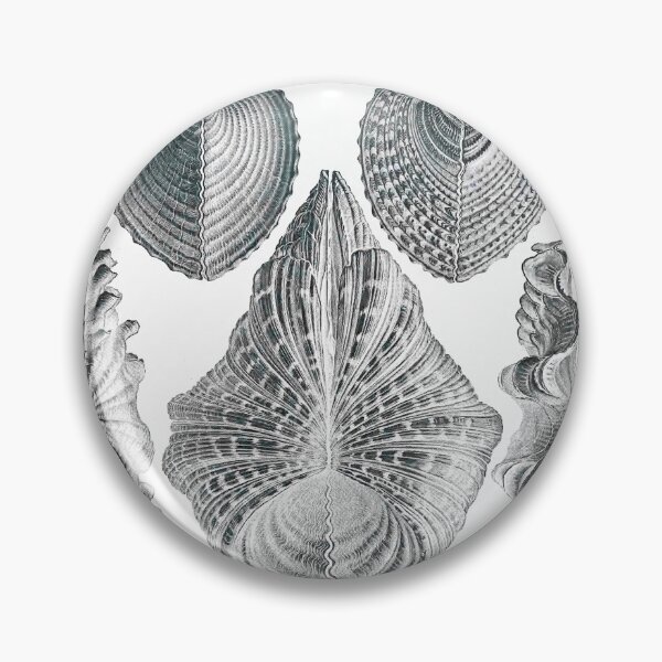 Item preview, Ernst Haeckel Seashells Acephala Kunstformen Der Natur designed and sold by cutesy.