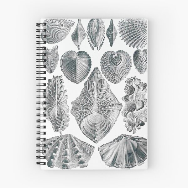Item preview, Ernst Haeckel Seashells Acephala Kunstformen Der Natur designed and sold by cutesy.
