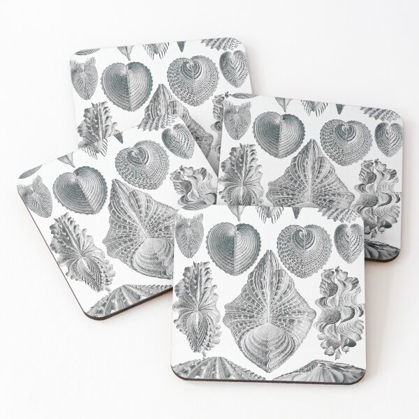 Item preview, Ernst Haeckel Seashells Acephala Kunstformen Der Natur designed and sold by cutesy.