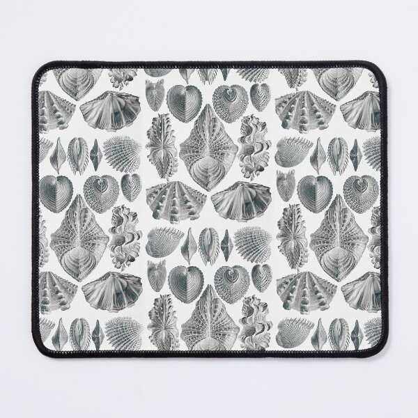 Item preview, Ernst Haeckel Seashells Acephala Kunstformen Der Natur designed and sold by cutesy.