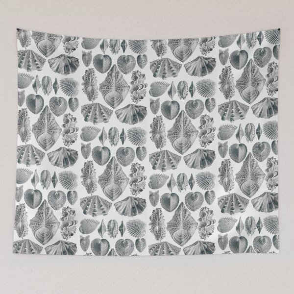 Item preview, Ernst Haeckel Seashells Acephala Kunstformen Der Natur designed and sold by cutesy.