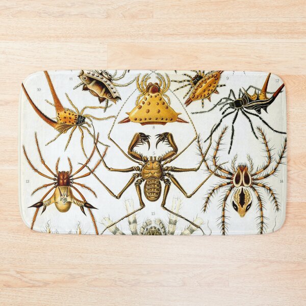 Item preview, Ernst Haeckel Kunstformen Der Natur Arachnids Arachinida designed and sold by cutesy.