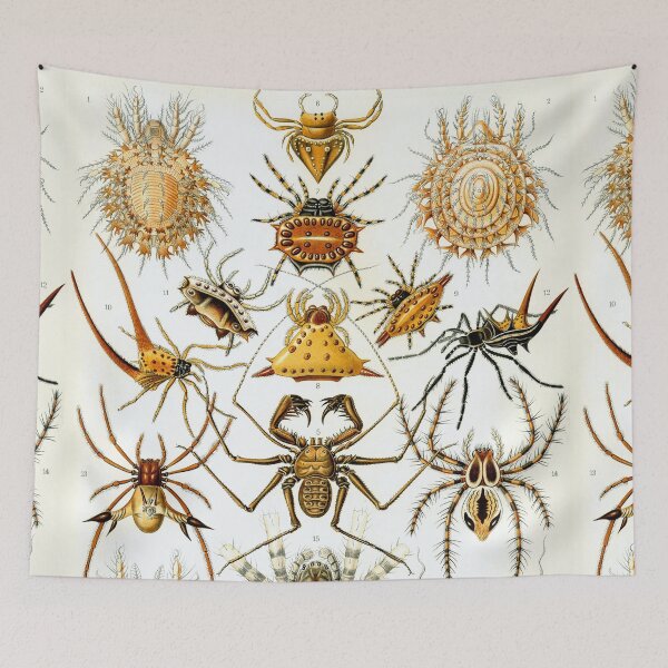 Item preview, Ernst Haeckel Kunstformen Der Natur Arachnids Arachinida designed and sold by cutesy.
