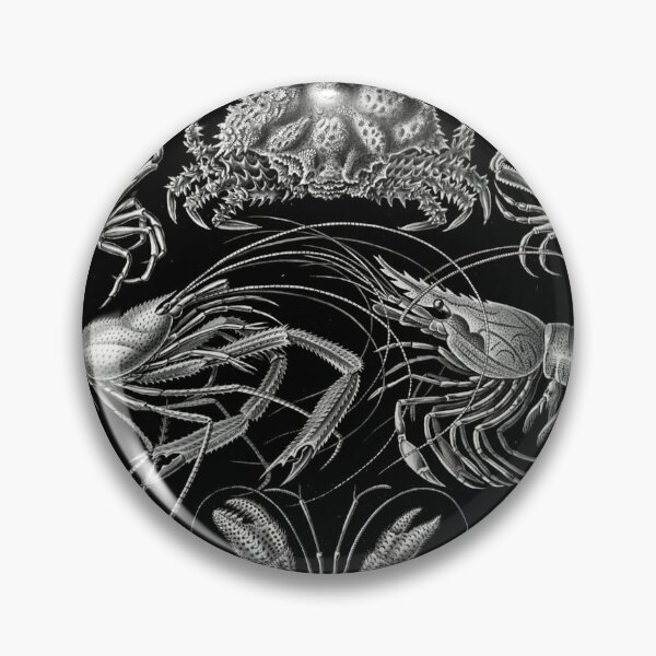 Item preview, Ernst Haeckel Crustaceans Marine Life illustration designed and sold by cutesy.