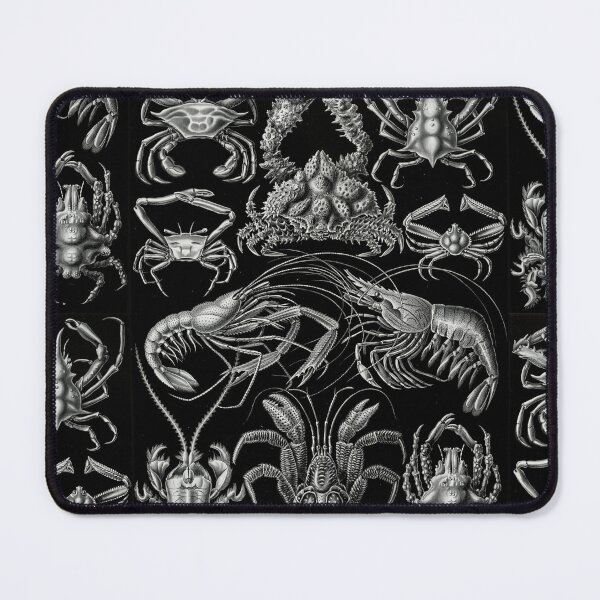 Item preview, Ernst Haeckel Crustaceans Marine Life illustration designed and sold by cutesy.