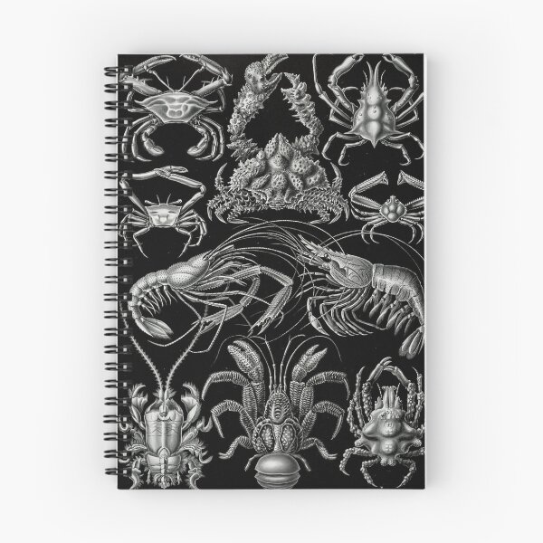 Item preview, Ernst Haeckel Crustaceans Marine Life illustration designed and sold by cutesy.