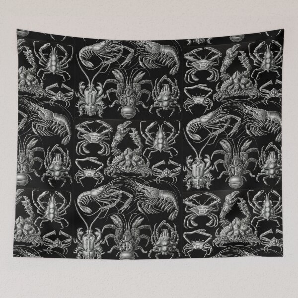 Item preview, Ernst Haeckel Crustaceans Marine Life illustration designed and sold by cutesy.