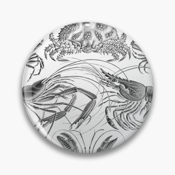 Item preview, Ernst Haeckel Crustaceans Marine Life illustration designed and sold by cutesy.