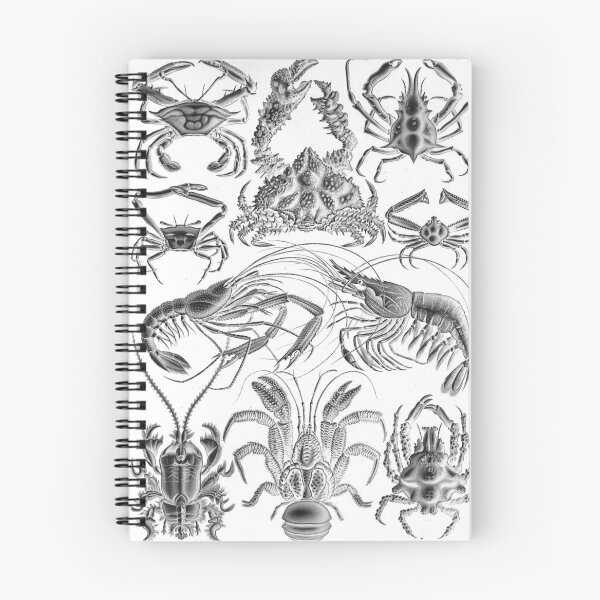 Item preview, Ernst Haeckel Crustaceans Marine Life illustration designed and sold by cutesy.
