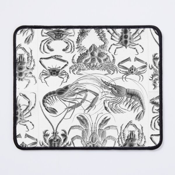 Item preview, Ernst Haeckel Crustaceans Marine Life illustration designed and sold by cutesy.