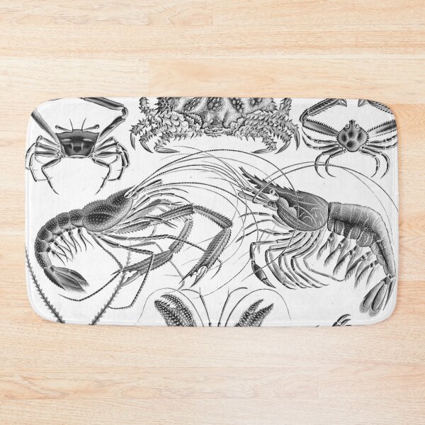 Item preview, Ernst Haeckel Crustaceans Marine Life illustration designed and sold by cutesy.