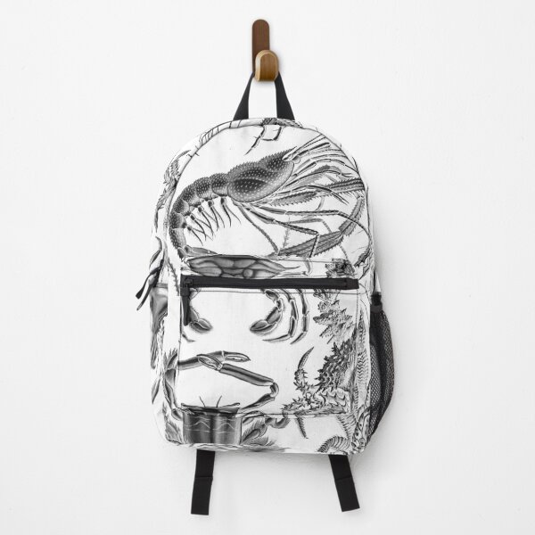 Item preview, Ernst Haeckel Crustaceans Marine Life illustration designed and sold by cutesy.