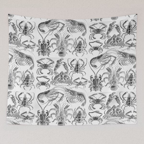 Item preview, Ernst Haeckel Crustaceans Marine Life illustration designed and sold by cutesy.