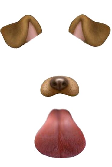 "Puppy Dog Filter" Posters by ymmhsbab | Redbubble