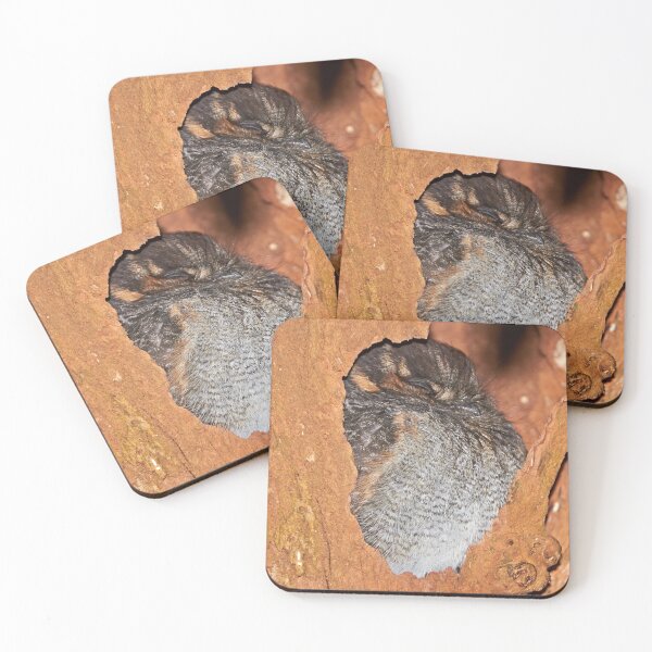 Item preview, Australian Owlet-Nightjar ~ "Sweet Dreams" designed and sold by Robert Elliott.