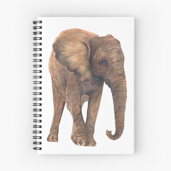 Artikelvorschau, Elefant Aquarell entworfen und verkauft von Keaton Kohl.