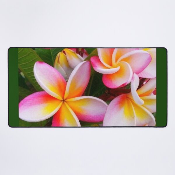 Item preview, pink and yellow plumera floral print DIGITAL TRENDs designed and sold by THE AMERICAN TEEVANGELIST.