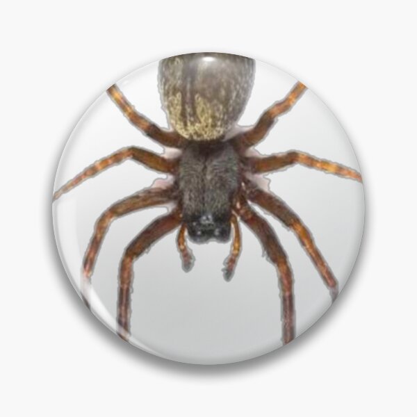 Item preview, Spider designed and sold by Fil1987.