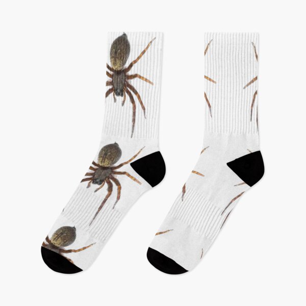 Item preview, Spider designed and sold by Fil1987.