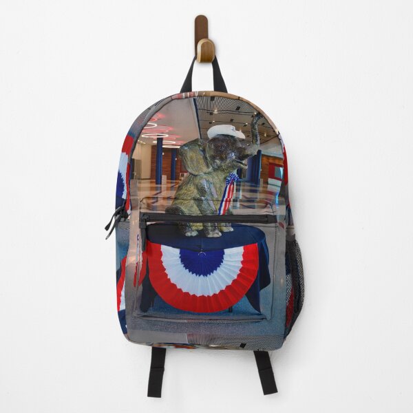 Item preview, The 2022 Texas State Republican Convention designed and sold by Savannah Gibbs.