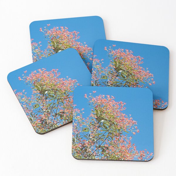 Item preview, Ceratopetalum gummiferum (New South Wales Christmas Bush) designed and sold by Robert Elliott.