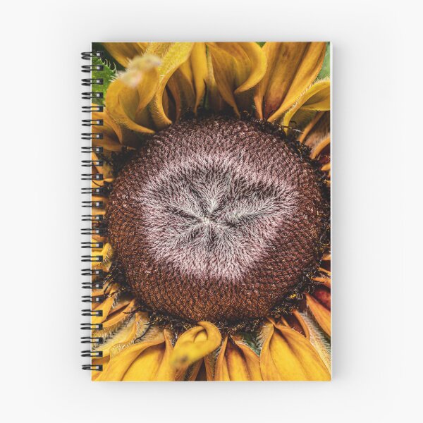Item preview, Sunflower designed and sold by Christopher Stephenson.