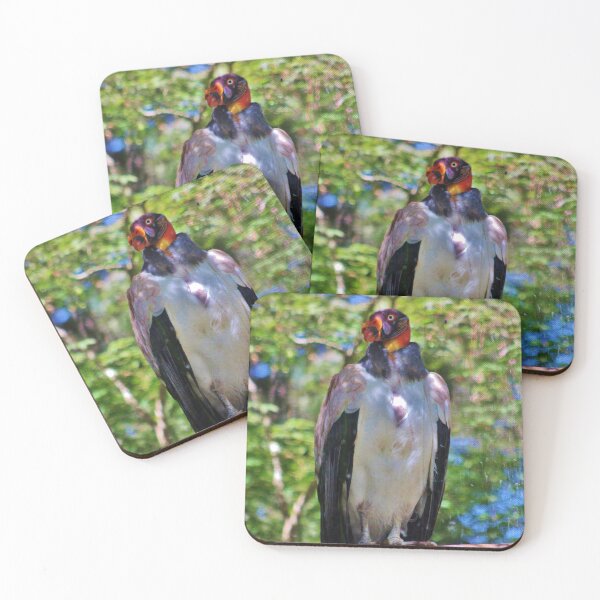 Item preview, King Vulture designed and sold by Cynthia48.