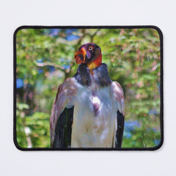 Item preview, King Vulture designed and sold by Cynthia48.