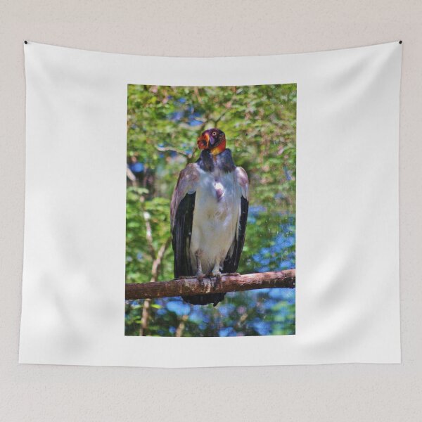 Item preview, King Vulture designed and sold by Cynthia48.