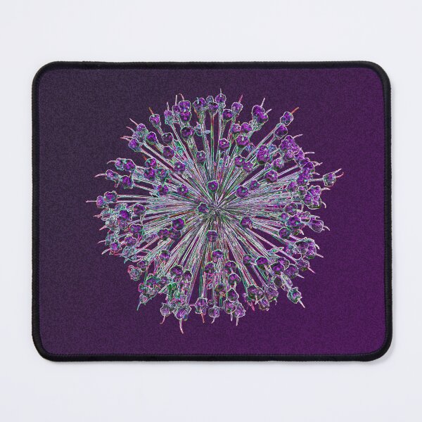 Item preview, Purple Allium 2 designed and sold by Jan Palmer.