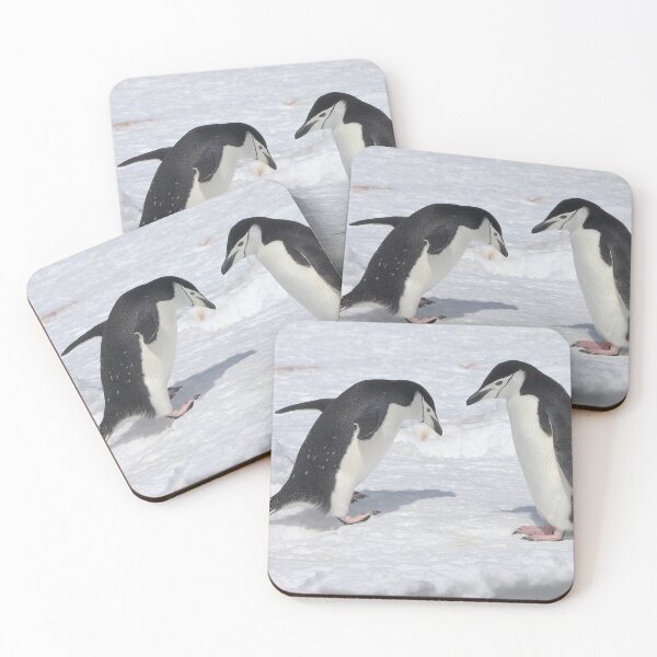 Item preview, Chinstrap Penguins ~ "Konnichiwa (hello)" designed and sold by Robert Elliott.