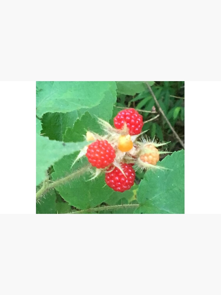 Wineberries 1 by NimsNature