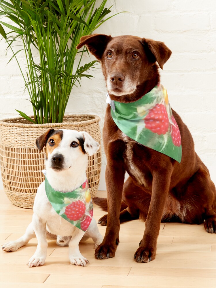 Alternate view of Wineberries 1 Pet Bandana