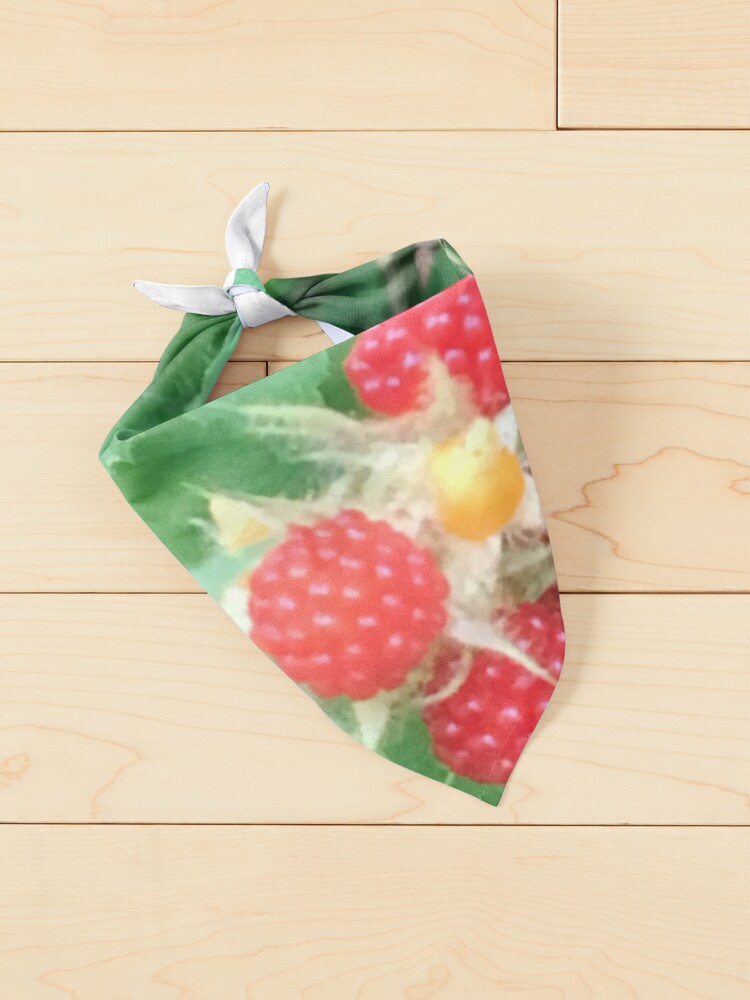 Alternate view of Wineberries 1 Pet Bandana