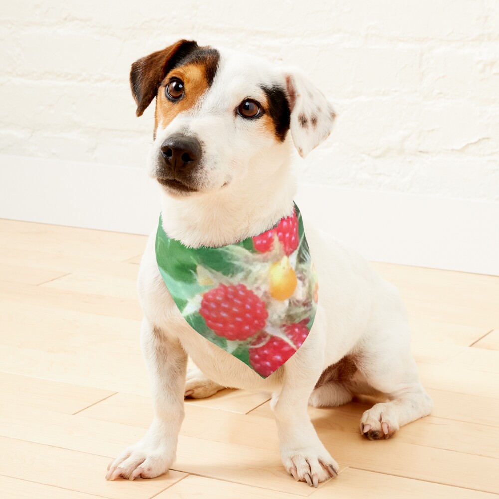 Wineberries 1 Pet Bandana