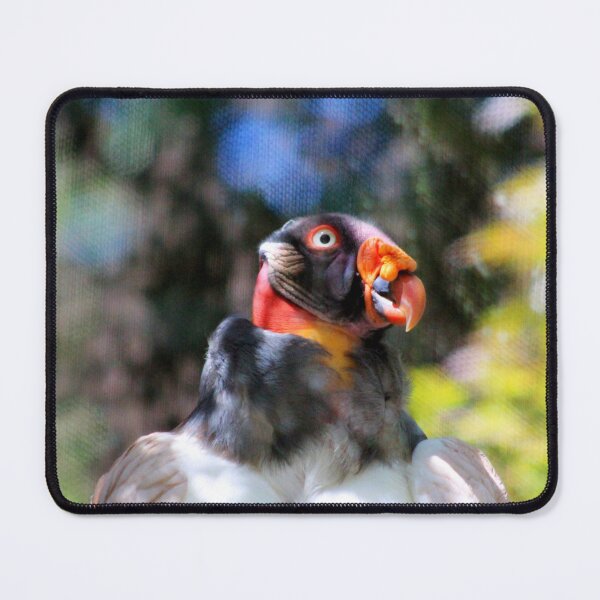 Item preview, King Vulture Headshot  designed and sold by Cynthia48.