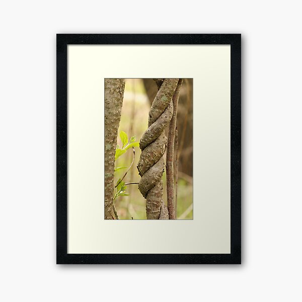 Item preview, Intertwined designed and sold by Gary Horner.
