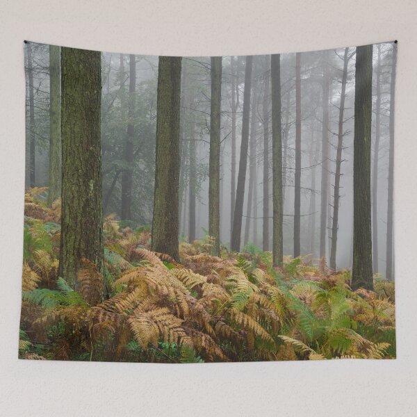 Item preview, Misty Conifer Forest designed and sold by Craig Joiner.