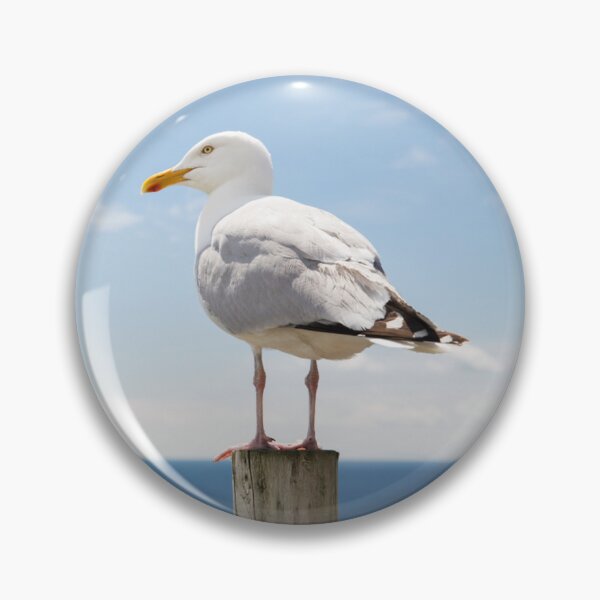 Item preview, Seagull Posing On Piling By The Ocean Seashore Beach designed and sold by bayberrygal.